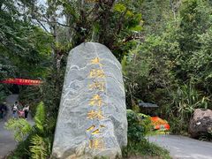 -普洱太阳河森林公园