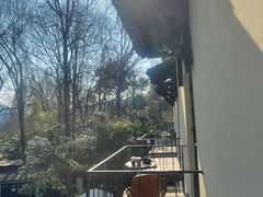 -杭州西湖风景名胜区-满觉陇四眼井