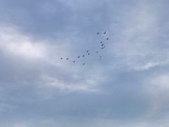 -刘家湾赶海园