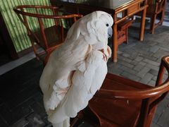 -四海楼(如皋定慧禅寺店)