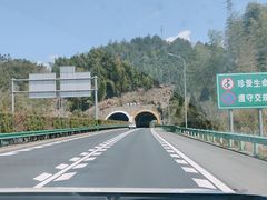 -黄山太平湖风景区