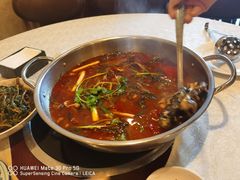 -玲泉黄腊丁生态鱼馆(雪松路店)