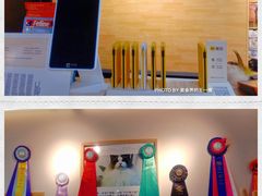 -猫十亿·布偶金渐层·曼基康矮脚猫舍(青年路店)