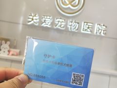 -关爱宠物医院·猫科中心·消化科(滨湖万达分院)