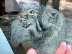 -青藏高原野生动物园