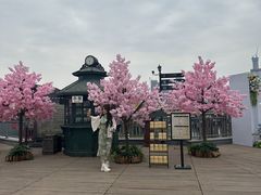 -武汉知音号