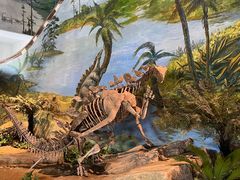 -自贡恐龙博物馆