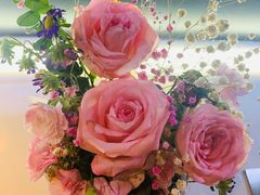 -木棉花开(中心城店)