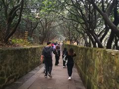 -普陀山慧济禅寺