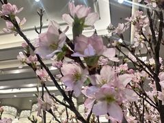 -TABLE·味西餐厅-成都茂业JW万豪酒店