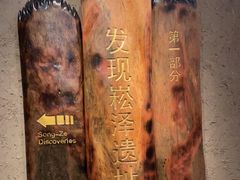 -上海崧泽遗址博物馆