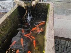 -壹泰东南亚主题餐厅·高良姜风情(州桥店)