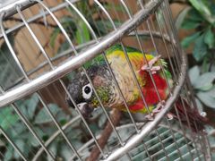 -南宫五洲植物乐园