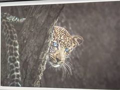 -罗红摄影艺术馆