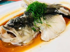 -有心德(麦地店)