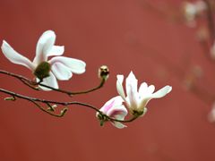 -东华门大街小区