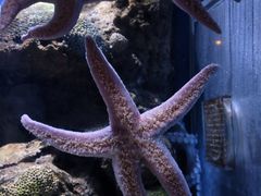 -香港海洋公园