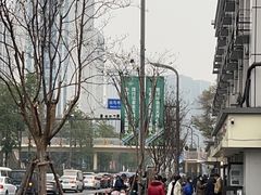 -邓氏兔头