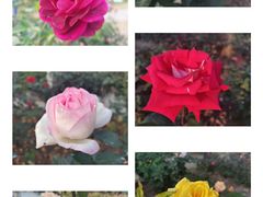 -人民公园(罗湖区)