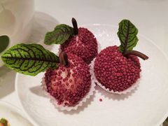 -翠园(北京王府中环店)