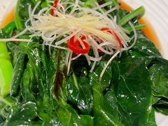 -阿五黄河大鲤鱼(纬三路店)