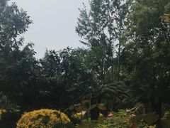 -故乡缘·香格里拉山庄(冷竹路店)