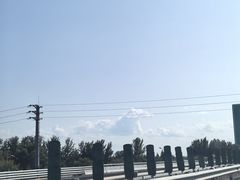 -巴依老爷新疆美食(工体旗舰店)