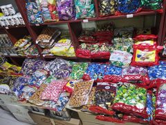 -霍尔果斯国门景区