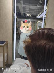 -海文形象管理
