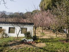 -无锡梅园公园