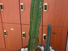 -慈铭体检中心(星海湾店)
