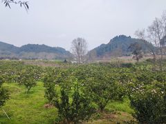 -樱桃山旅游景区