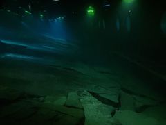 -白鹤梁水下博物馆
