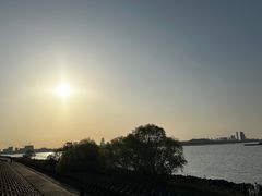 -上海滨江森林公园
