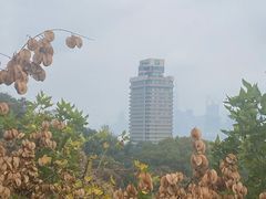 -武汉长江大桥