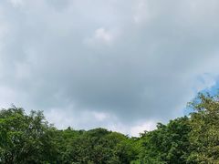 -海口火山口国家地质公园