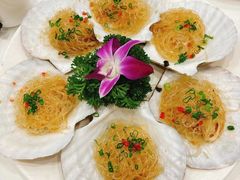 -小贝壳酒楼(经九路店)