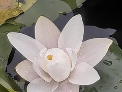 -前关湿地公园