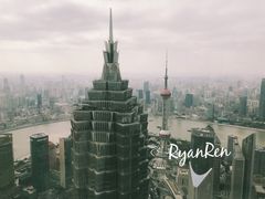 -The lounge 柏悦酒店大堂酒廊(上海环球金融中心店)