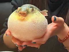 -永安鱼庄·镇江菜(东吴路店)