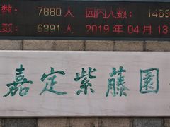 -嘉定紫藤园