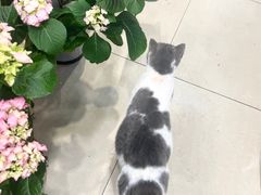 -双季花艺园艺市场(浦东店)