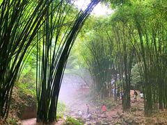 -川西竹海景区