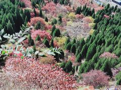 -石门坊