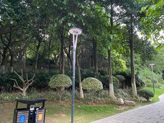 -五缘湾湿地公园