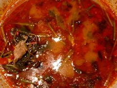 -黔蘑菇四季餐厅(观山湖店)