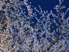 -丁香湖丁香小镇Citypark滑雪公园戏雪嘉年华