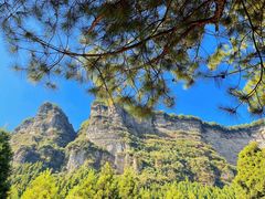-重庆睡佛山森林公园