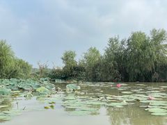 -焦岗湖旅游度假区