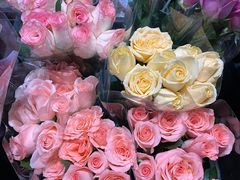 -循礼门鲜花花市(武汉循礼门店)